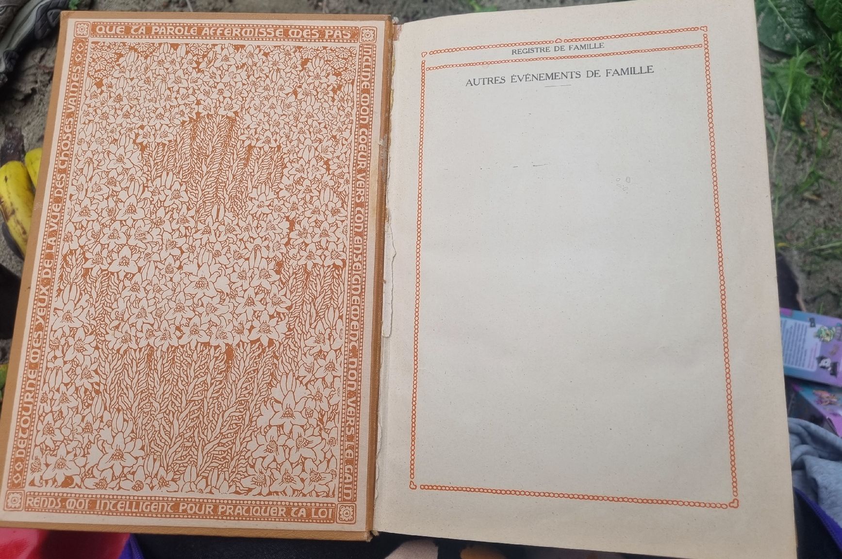 Bücher: LA BIBLE SYNODALE ÉdITION 1930 Lausanne – Gebraucht aus Fribourg von sal_5ln6 5