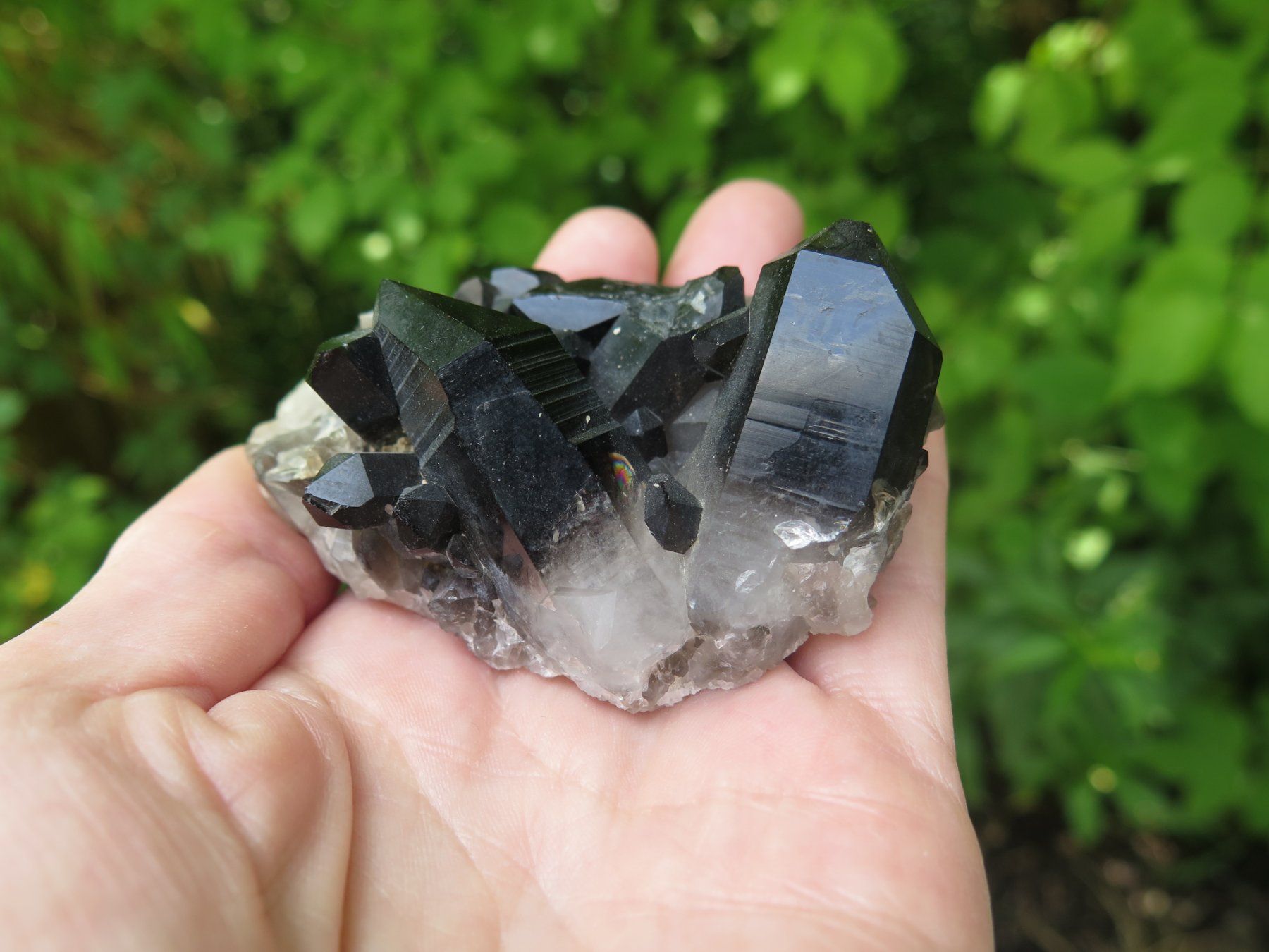 Mineralien & Heilsteine: Rauchquarz "Morion" von USA – Gebraucht aus Schaffhausen von Yamakana51L8736OQ8