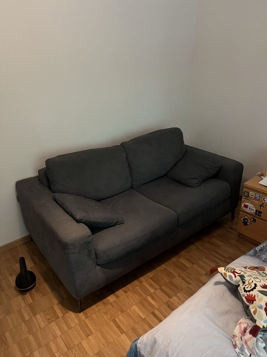 Divani: Sofa bed – Usato da Zürich venduto da jkbkr