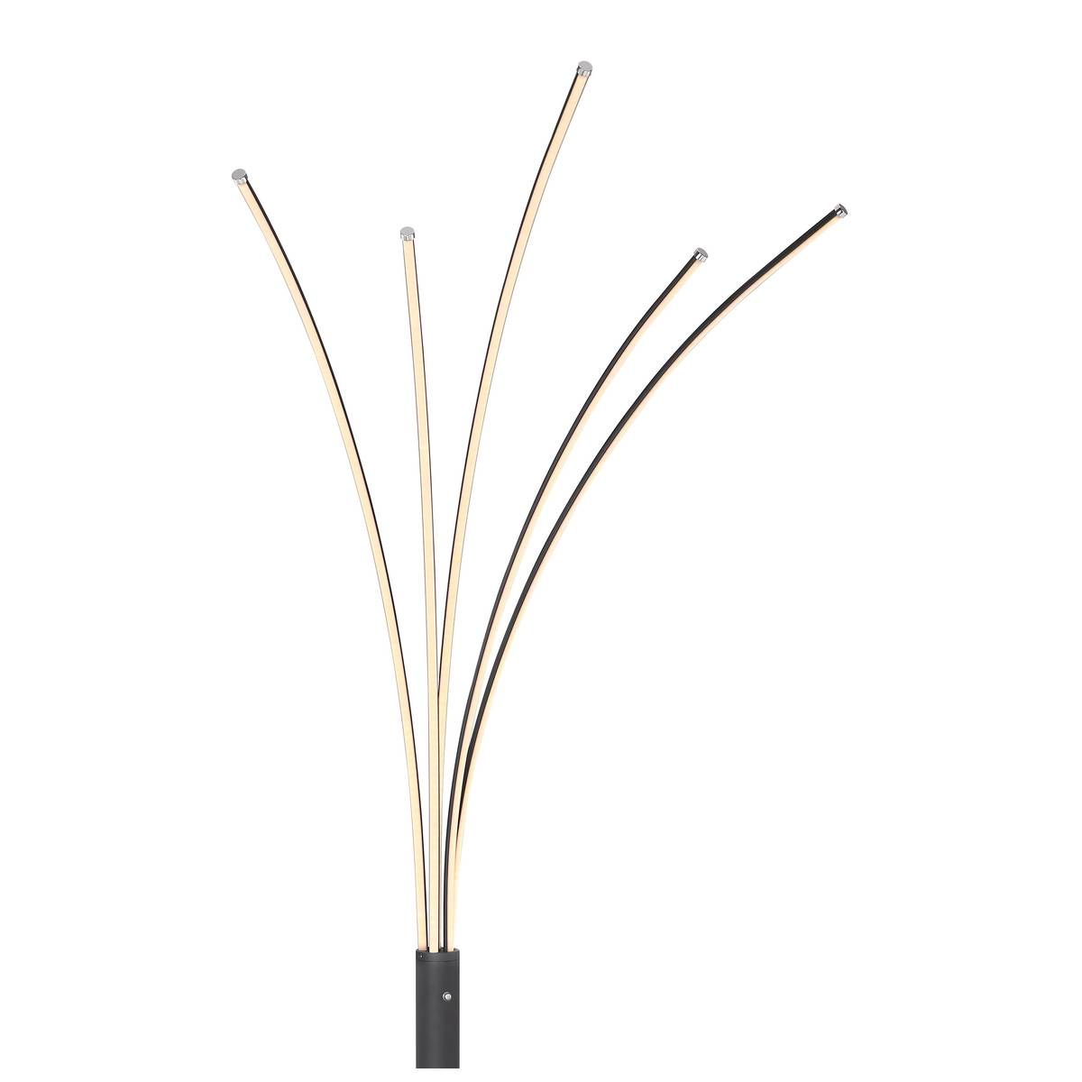 Lampade: LED Stehleuchte, Dimmbar, 187 cm Höhe – Nuovo (secondo la descrizione) da Kreuzlingen venduto da Smart-Light 3