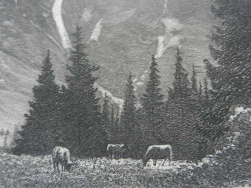 Gravures: Jungfrau Berner Oberland – D'occasion à Risch par Rischli15 7