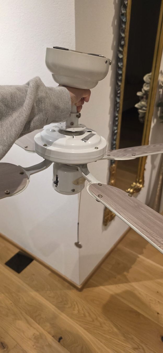 Ventilateurs: Deckenventilator, gebraucht – D'occasion à Lichtensteig par isa_76mj 1