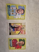 Panini