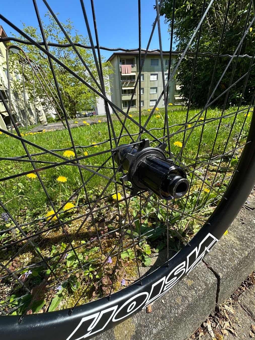 Pezzi di ricambio: Vision Metron 60 SL - Ceramicspeed Coated Upgrade Kit – Usato da Richterswil venduto da LorenzoPalandri 5
