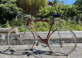 Vintage Cromovelato Rennvelo Pinarello