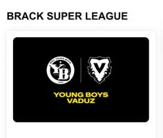 1 Ticket YB vs Vaduz