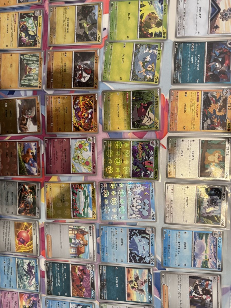 Pokémon Carte collezionabili: Pokemon Karten Sammlung, Pokeballset ab1.- – Usato da Muttenz venduto da keve999 9