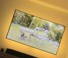 Philips 65 OLED 984/12  Bowers & Wilkins Defekt