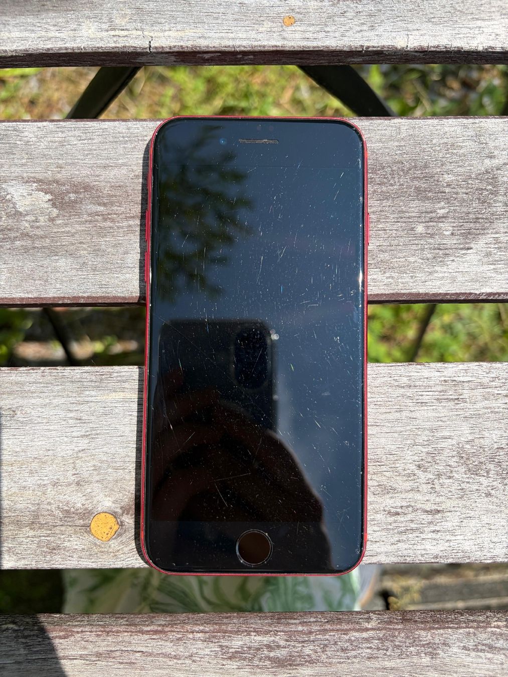 Apple Portables: iPhone SE (2. Generation) – D'occasion à St. Gallen par rah_lr55 1