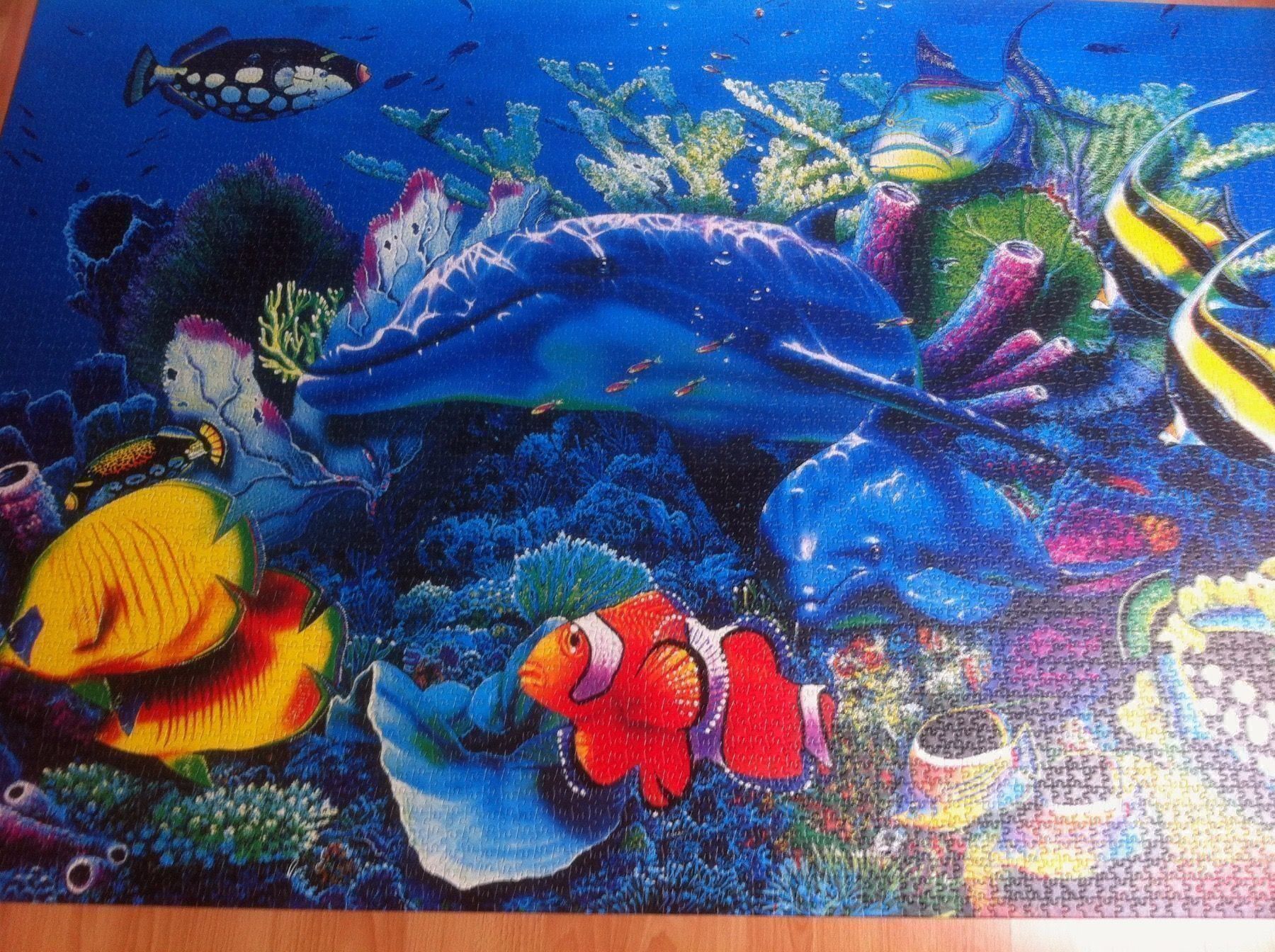 Clementoni Puzzle: Clementoni Puzzle – Usato da Widnau venduto da stiinli 4