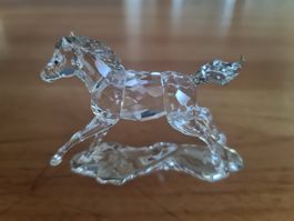 Swarovski Figur Esperanza Fohlen