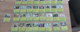 Pokémon Karten Sammlung: Grüne Edition, viele Seltene!