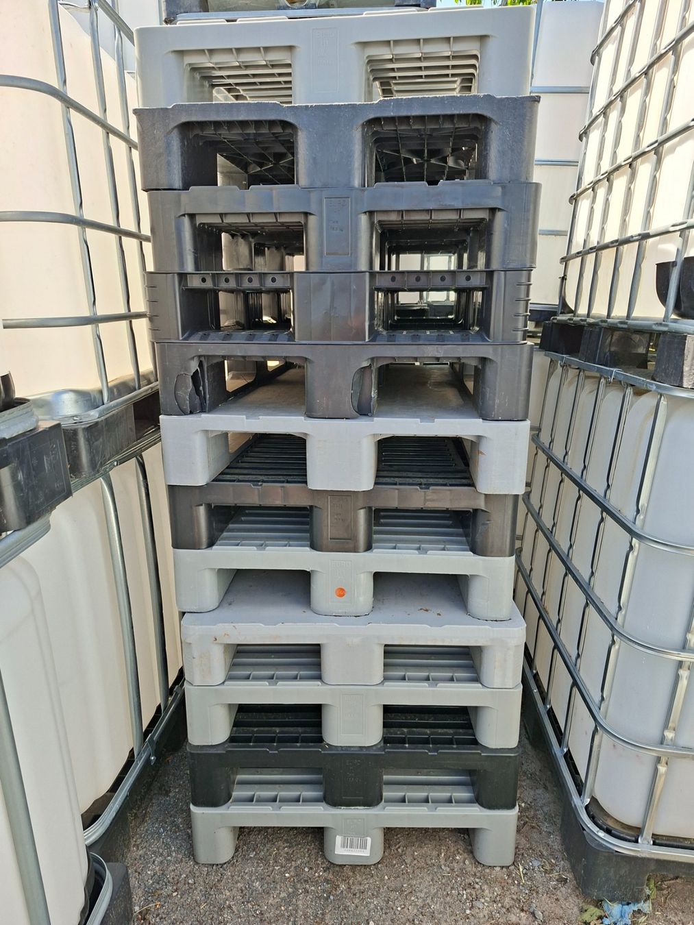 Pallets: Kunststoffpalette – Usato da Neuenegg venduto da Seppi18