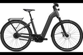 NEU E-BIKE FLYER 25KM/H | 85NM & 750WH BOSCH RIEMEN