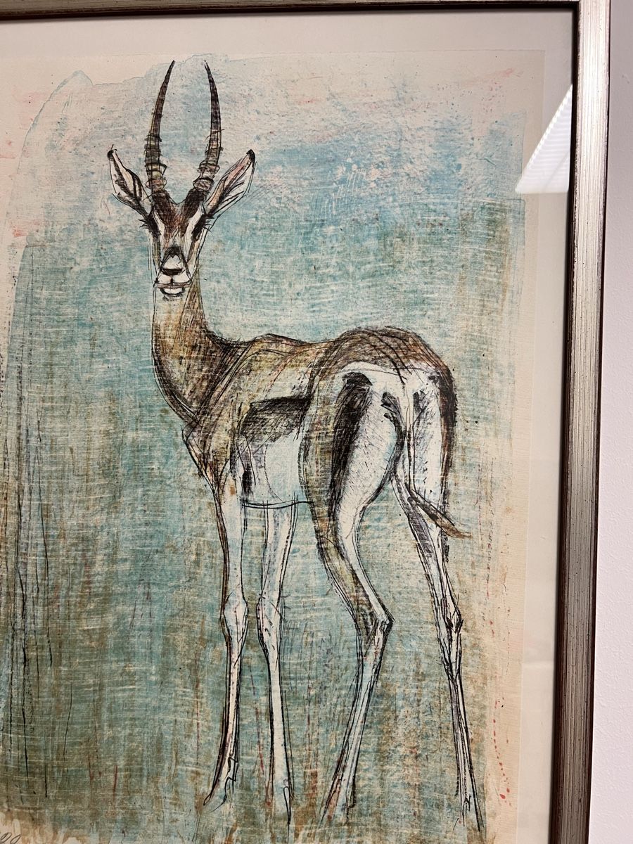 Grafica & Litografie: Fritz hug original Lithographie Antilope – Usato da Hombrechtikon venduto da vespa1954 2