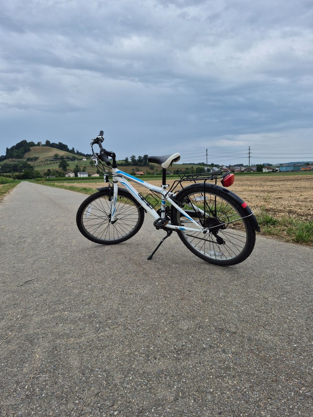 Leopard Biciclette: Kindervelo Leopard Space Cat 24`` – Usato da Ettiswil venduto da Fatosioo