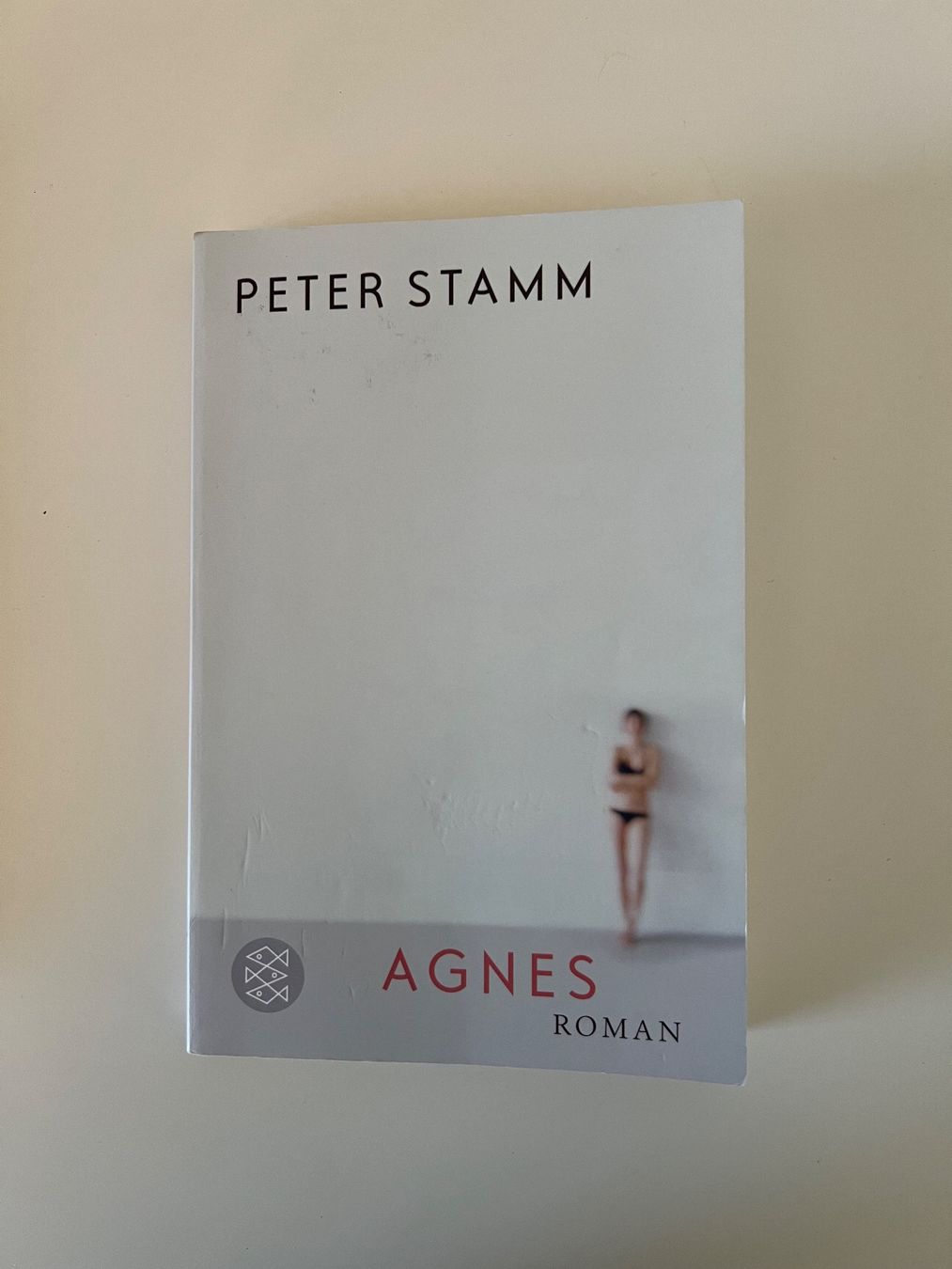 Bücher: Buch «Agnes» – Peter Stamm – Gebraucht aus Adelboden von Second_Life_CH