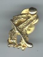 Rollhockey, Pin