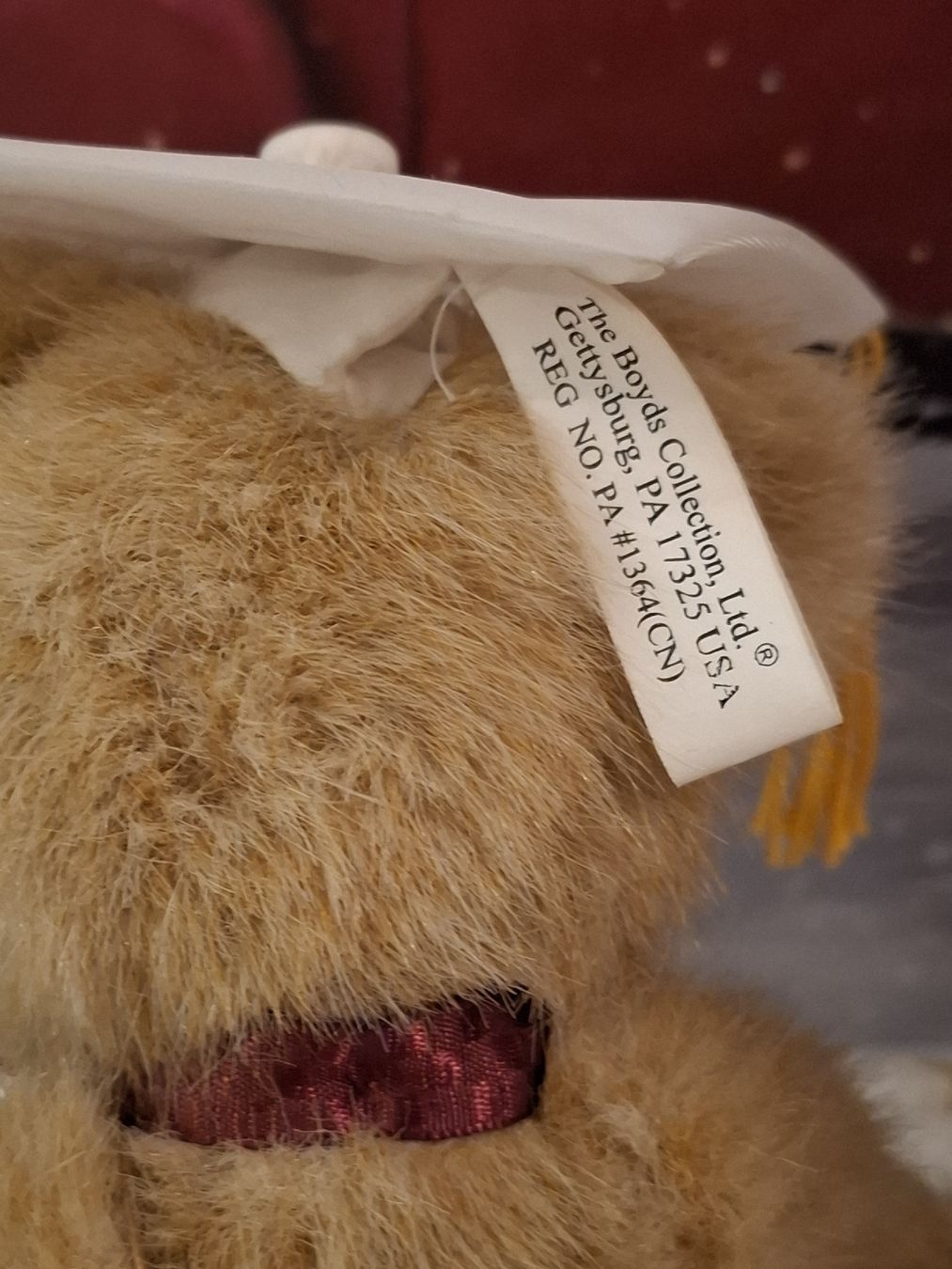 Giocattoli: TEDDY " MR.GRADUATE" VON BOYDS – Nuovo (secondo la descrizione) da Gretzenbach venduto da schibaya 5