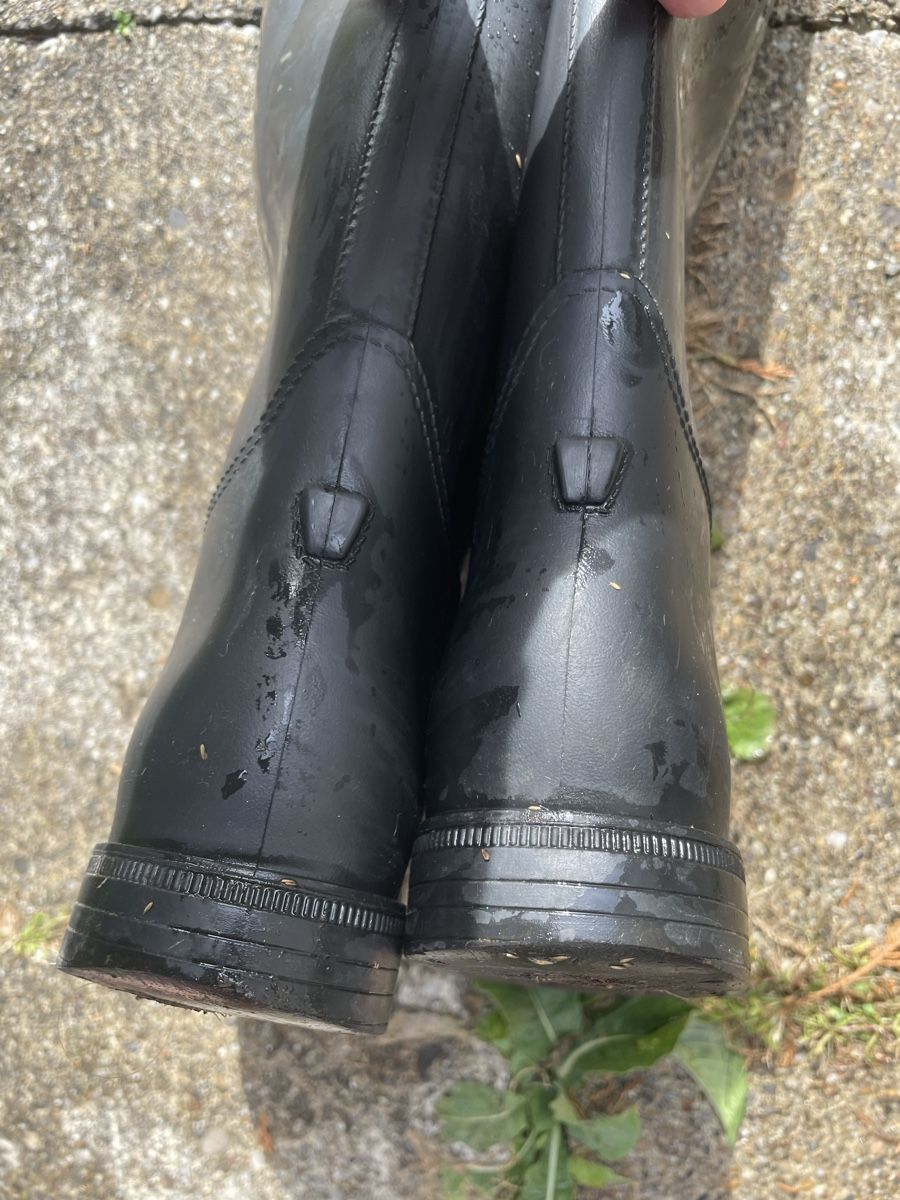 Scarpe da donna: Reitgummistsiefel Gr. 40 , gebraucht – Usato da Ennetaach venduto da Ustraessle 2