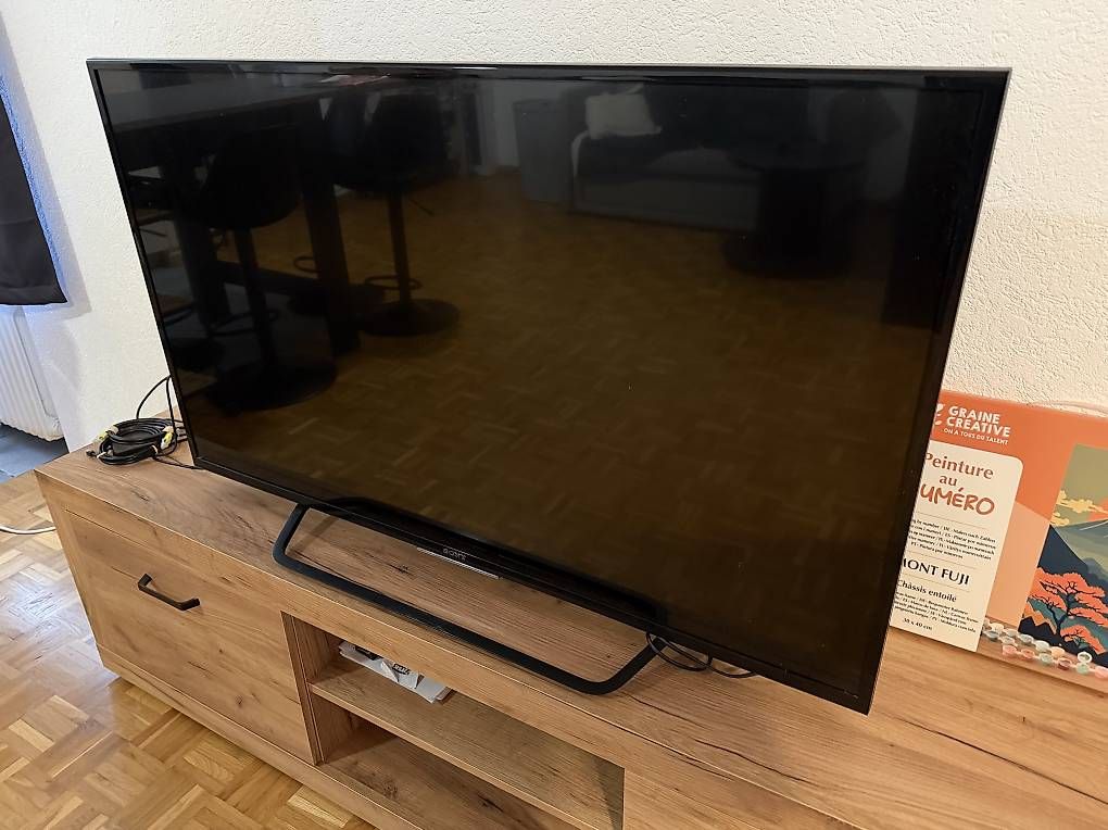 Sony Televisori: Tv Sony bravia 49X8005C – Usato da Riaz venduto da tho_llp7