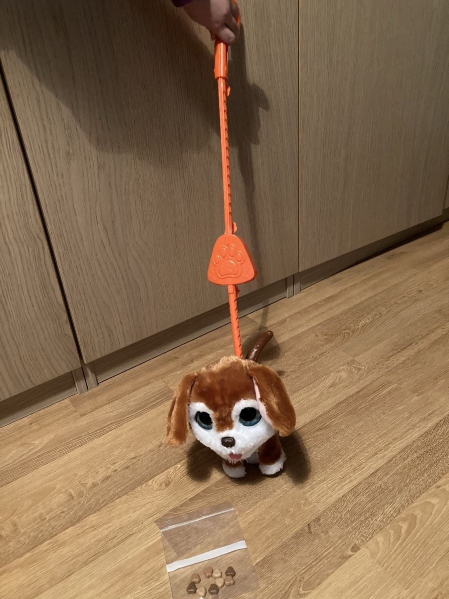 FurReal Jouets: Fur Real Friends Hund Poopalots – D'occasion à Emmenbrücke par JJ_89
