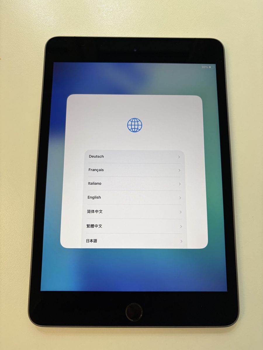 Apple Tablet PC: iPad Mini 5 256GB WiFi & Cellular Space Grey – Usato da Zürich venduto da dan_dy2z