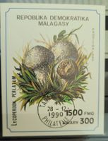 MADAGASKAR – MADAGASCAR / LYCOPERDON PERLATUM