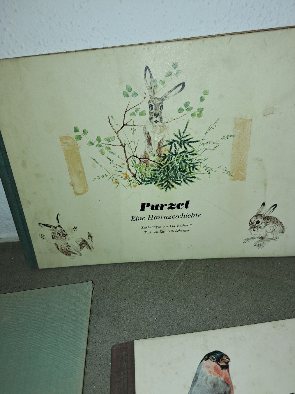 Libri: Alte Kinderbücher: Einheimische Vögel + Purzel-Hasengesch. – Usato da Kölliken venduto da Upcycling-by-Mc-TAM 1