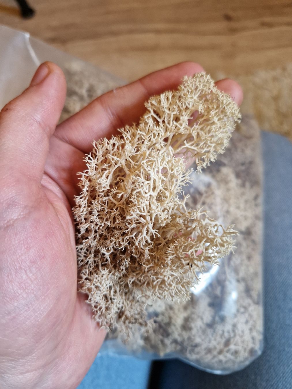 Kit di modellismo & Modellini statici: Lichen/Mousse pour maquettes – Nuovo e nell'imballaggio originale da Onex venduto da viv_72hm 1