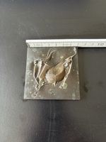 Franz Fischer - Stier Bronzeplakette inkl. Signatur