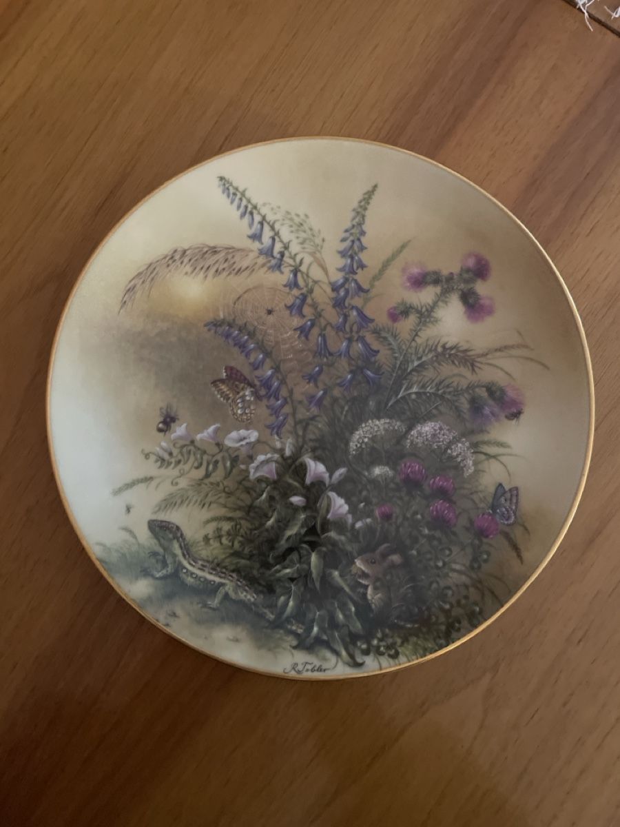 Assiettes: Teller mit Blumen und Tieren – D'occasion à Zürich par GillesLeChercheur