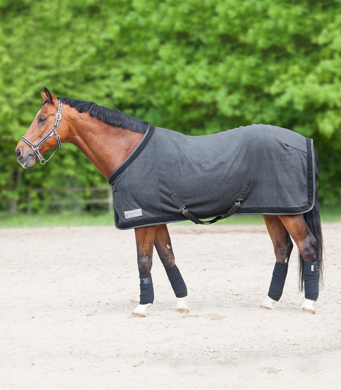 Coperte: Waldhausen COMFORT Fleecedecke Esperia Two 155 cm – Nuovo e nell'imballaggio originale da Frauenfeld venduto da Nikodemus3