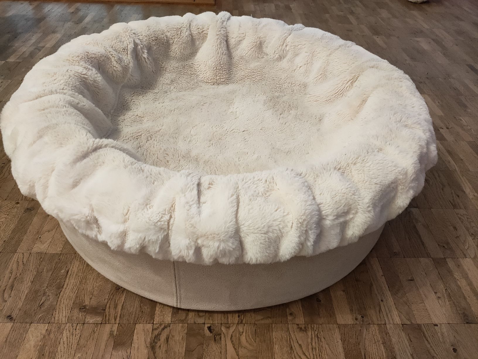 Cucce & Letti: Dogspring Luxury Hundebett super bequem – Usato da Flaach venduto da Bobby777