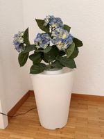 Blumentopf beleuchtet