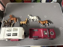 Pferdeanhänger mit Zugfahrzeug und 5x Pferde Schleicht