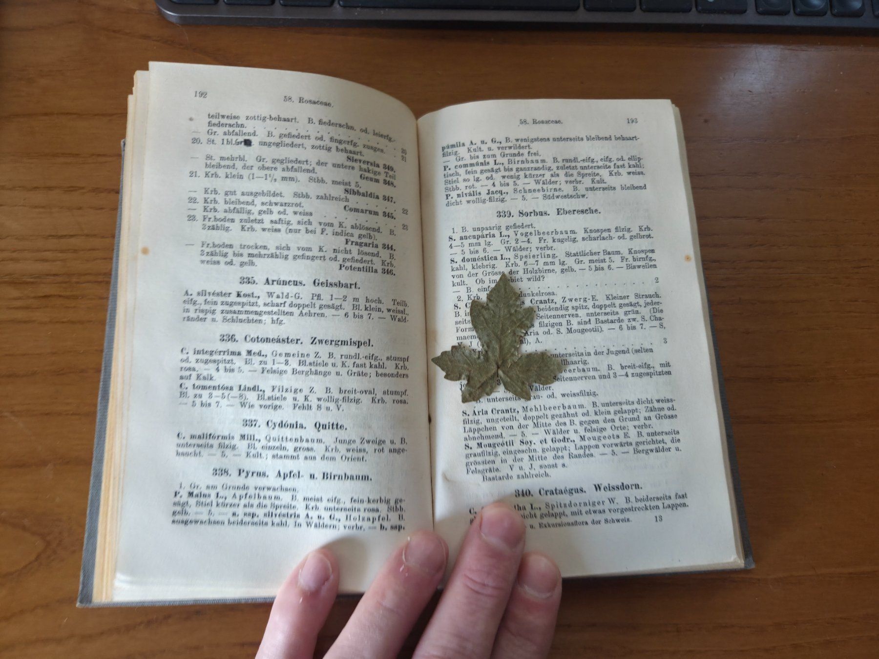 Libri: Binz Schul- und Exkursionsflora Schweiz 1920 – Usato da Aldesago venduto da lusuardi 9