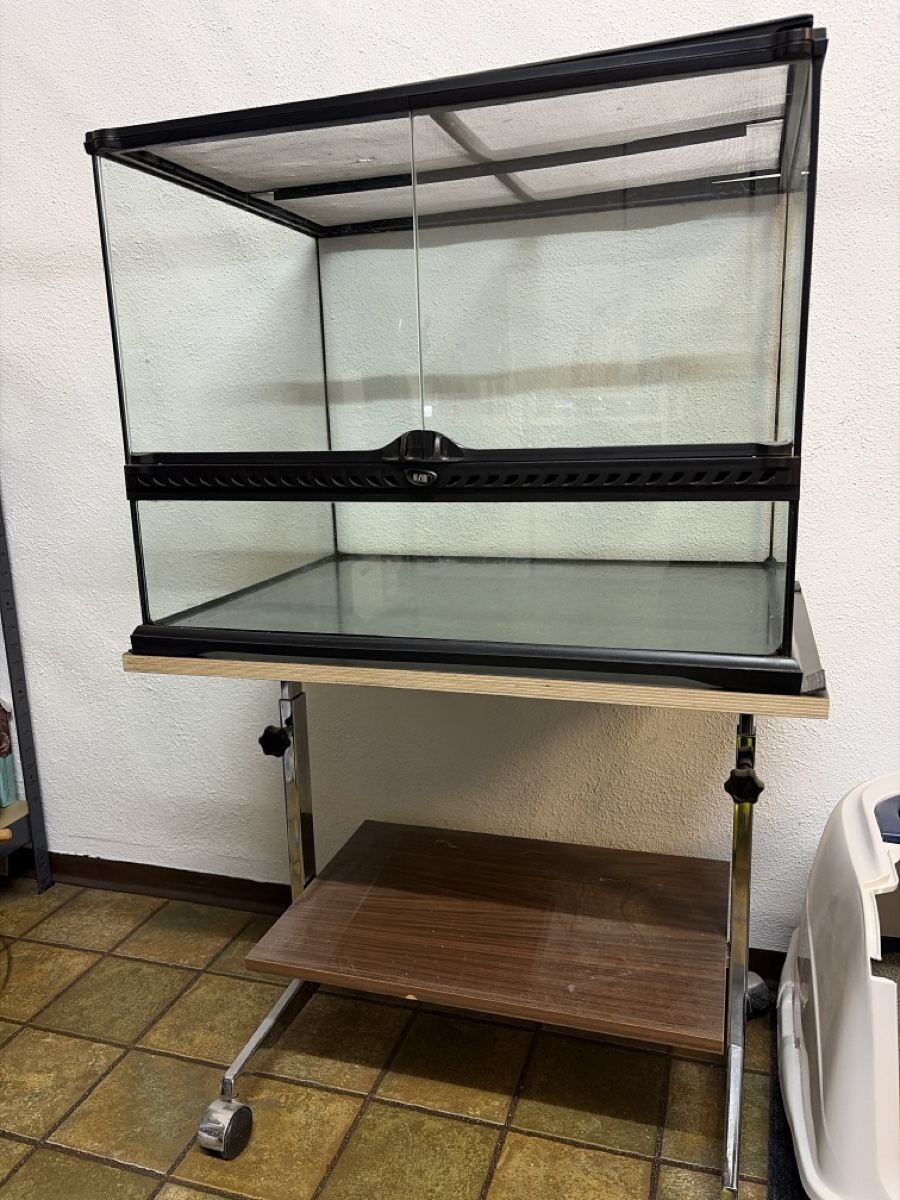 Terrario: Terrarium mit Gestell  – Usato da Degersheim venduto da Alphi 2