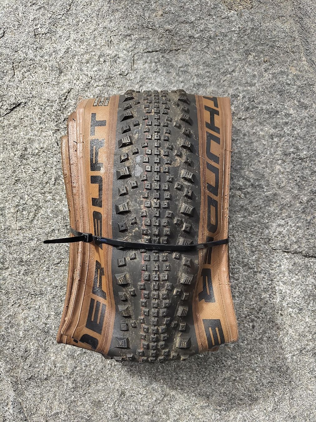 Schwalbe Pneumatici & Ruote complete: Schwalbe Thunder Burt 29x2.35 – Nuovo (secondo la descrizione) da Appenzell Steinegg venduto da Knechtle