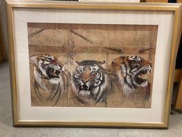 Rolf Knie Bild - 3 Tiger gerahmt
