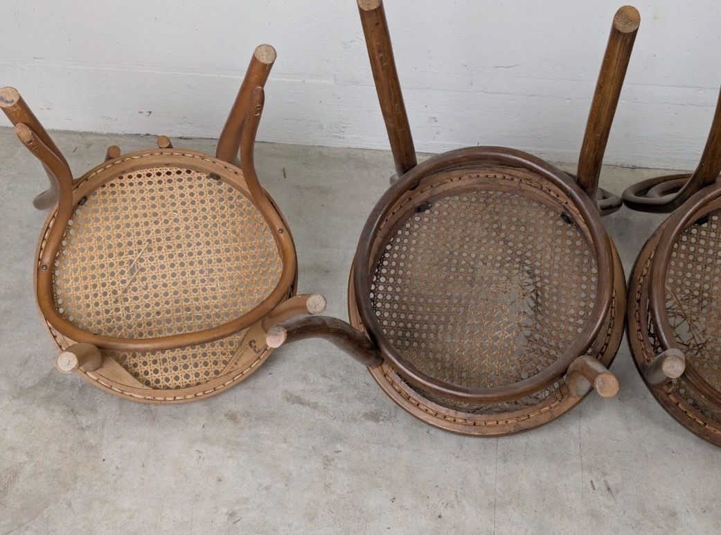 Sedie: 4 Fischer / Thonet Stühle – Usato da Zürich venduto da eggasch 6