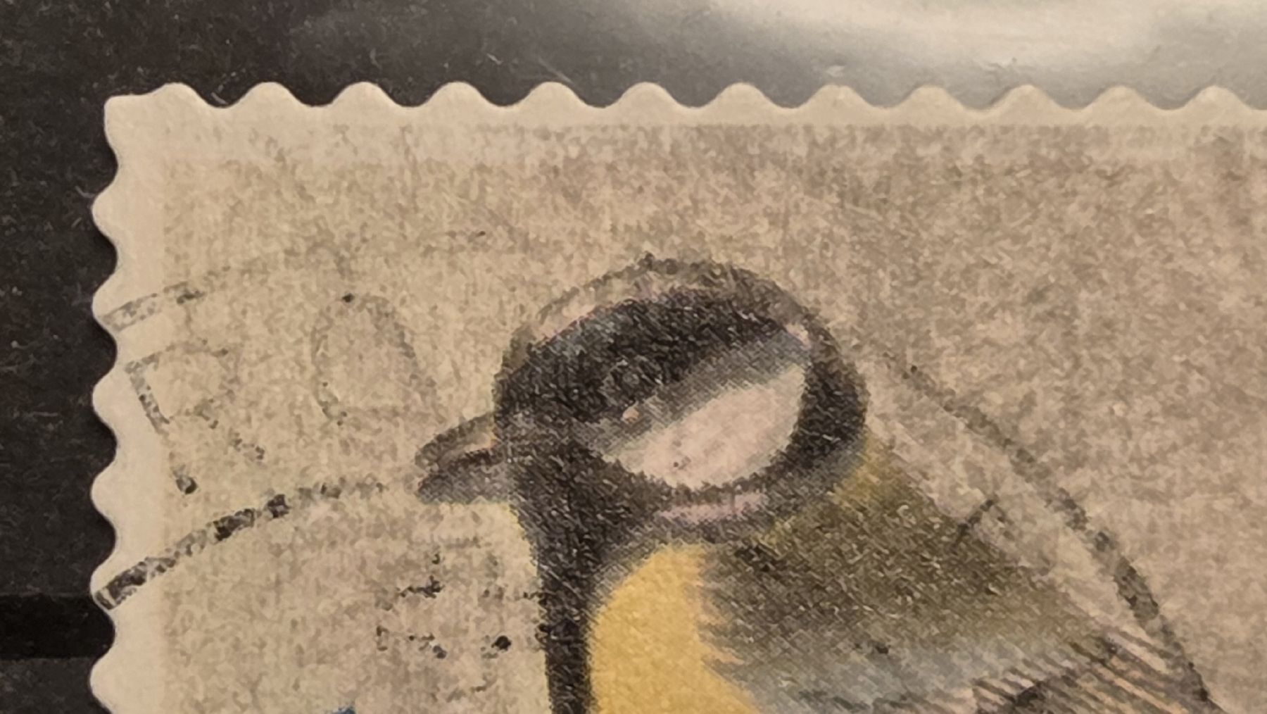 Alle Briefmarken: 2007 Abart Kohlmeise Doppelter-Schnabel – Gebraucht aus Arni AG von Moth68 1