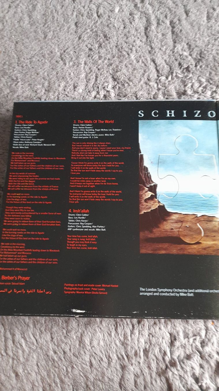Dischi in vinile: MIKE BATT  SCHIZOPHONIA    LP    VINYL – Usato da Wetzikon ZH venduto da Ramones01 2