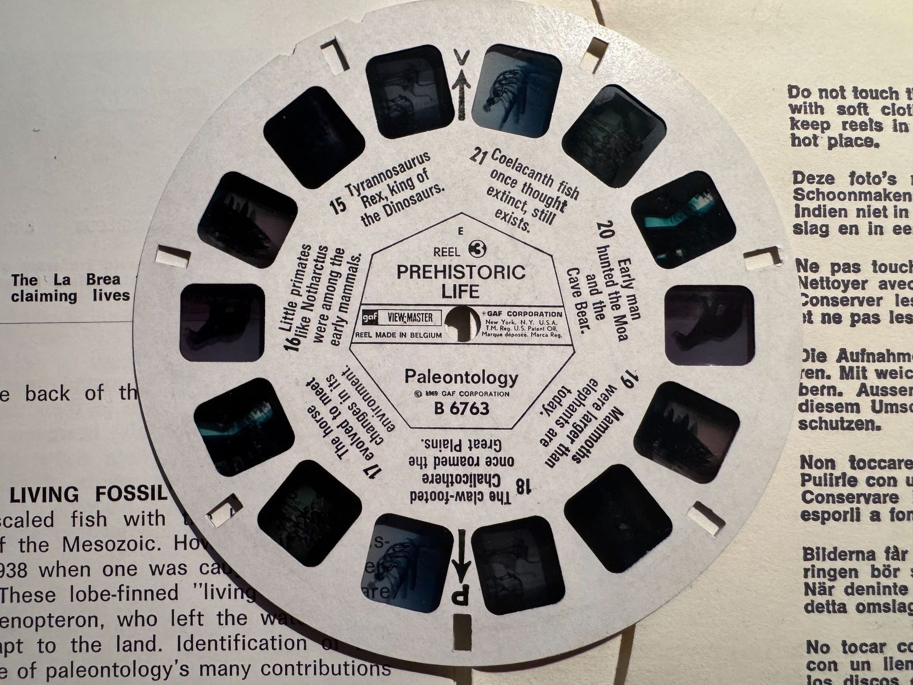 View-master Spielzeuge: View-Master 3D: Nr. B-676 PREHISTORIC LIFE – Gebraucht aus Tegerfelden von siebenmacky 7