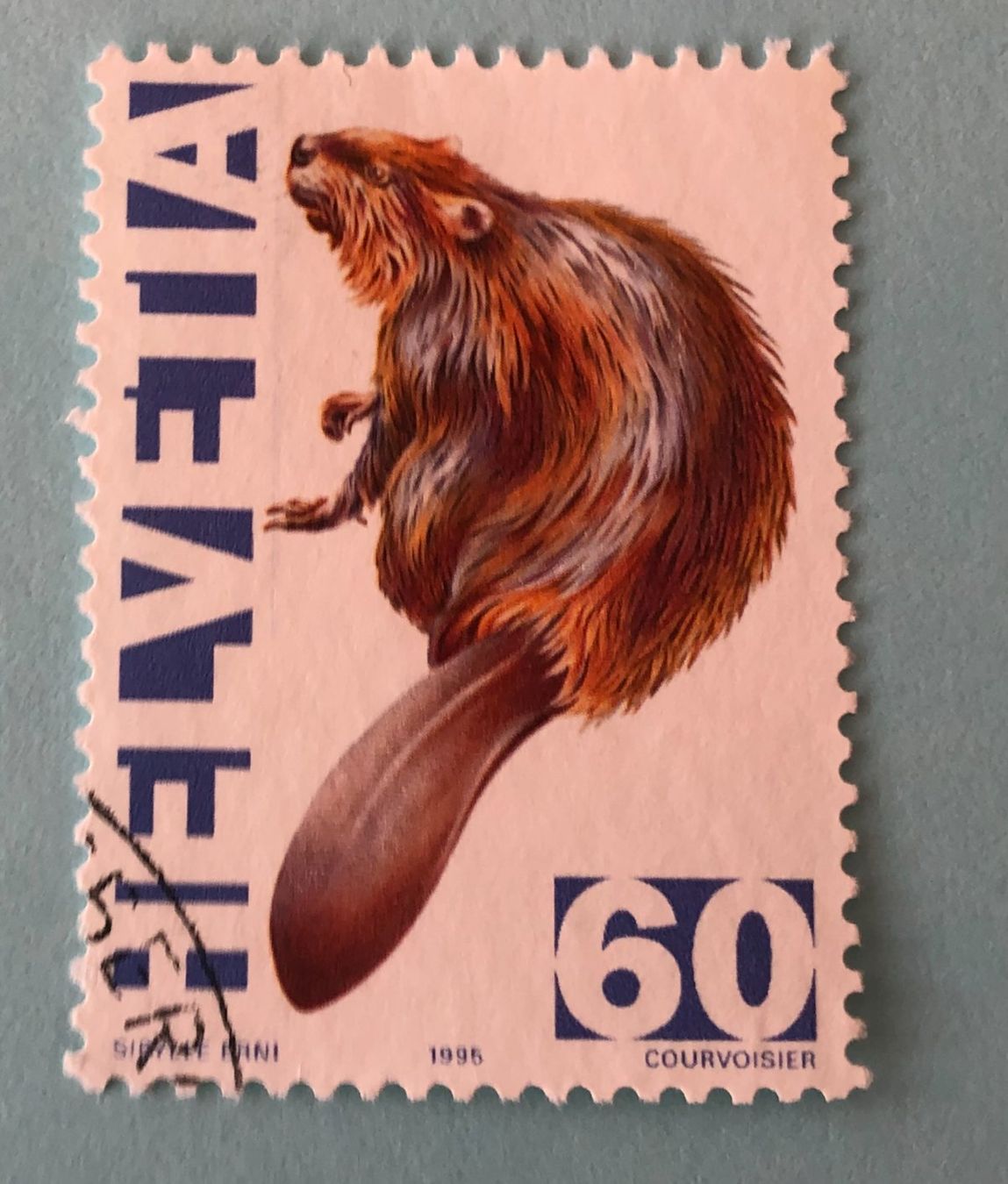 Tutti i francobolli: Zst.Nr.876 GESTEMPELT 1995    – Usato da Aarau venduto da Billa007