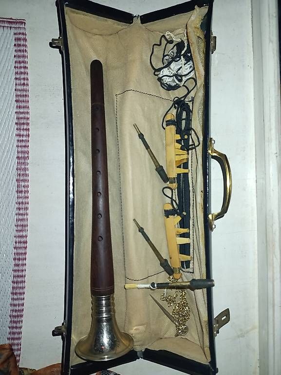 Strumenti musicali: Shenai aus Indien – Usato da Luzern venduto da gowshekan98