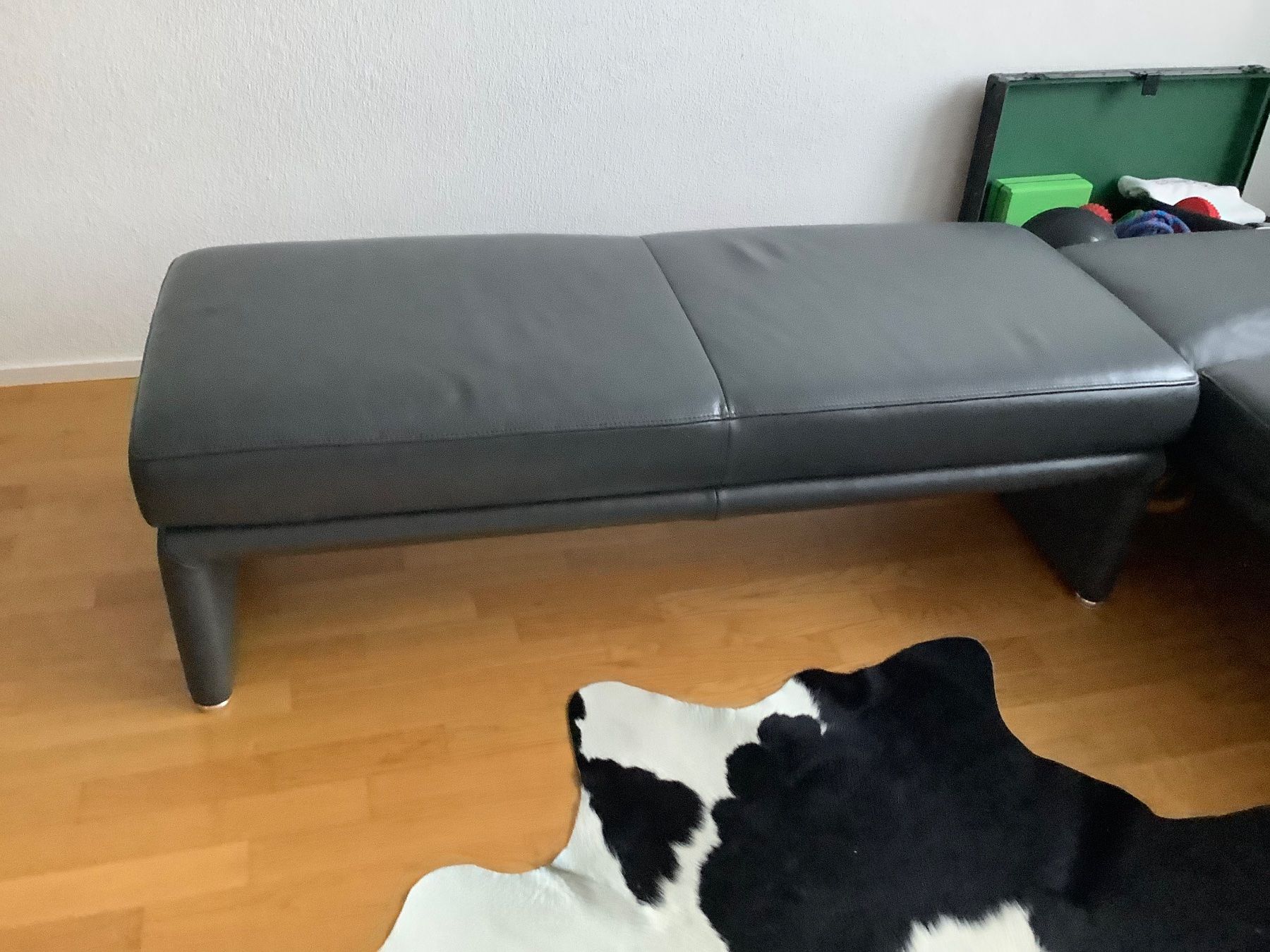 Divani: Sofa – Usato da Davos Wiesen venduto da Roseli21 4