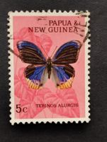 Papua Neuguinea - Schmetterling