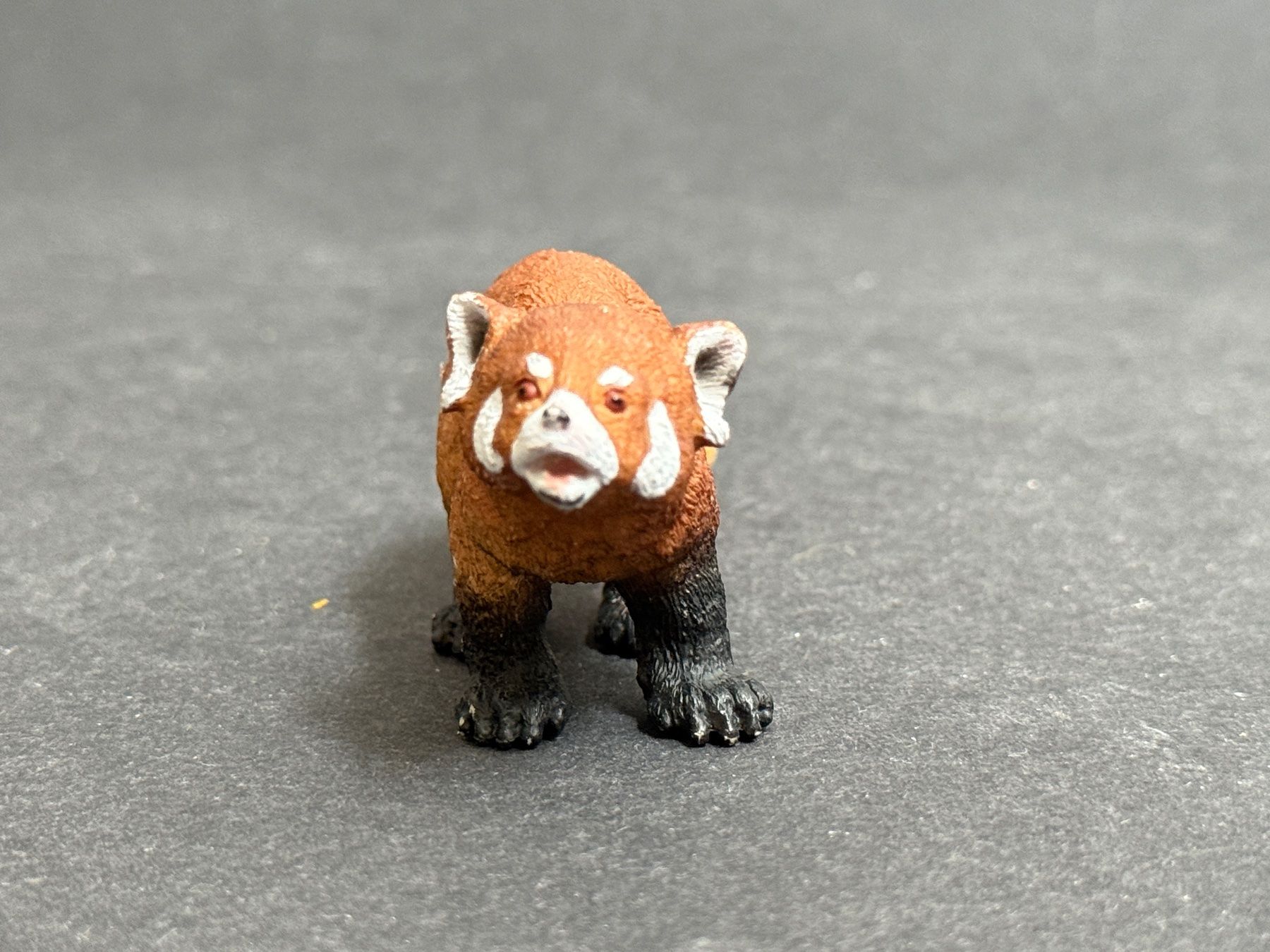 Schleich Statuette: SCHLEICH Wild Life Roter Panda Panda – Usato da Ennetbaden venduto da mapa05 3