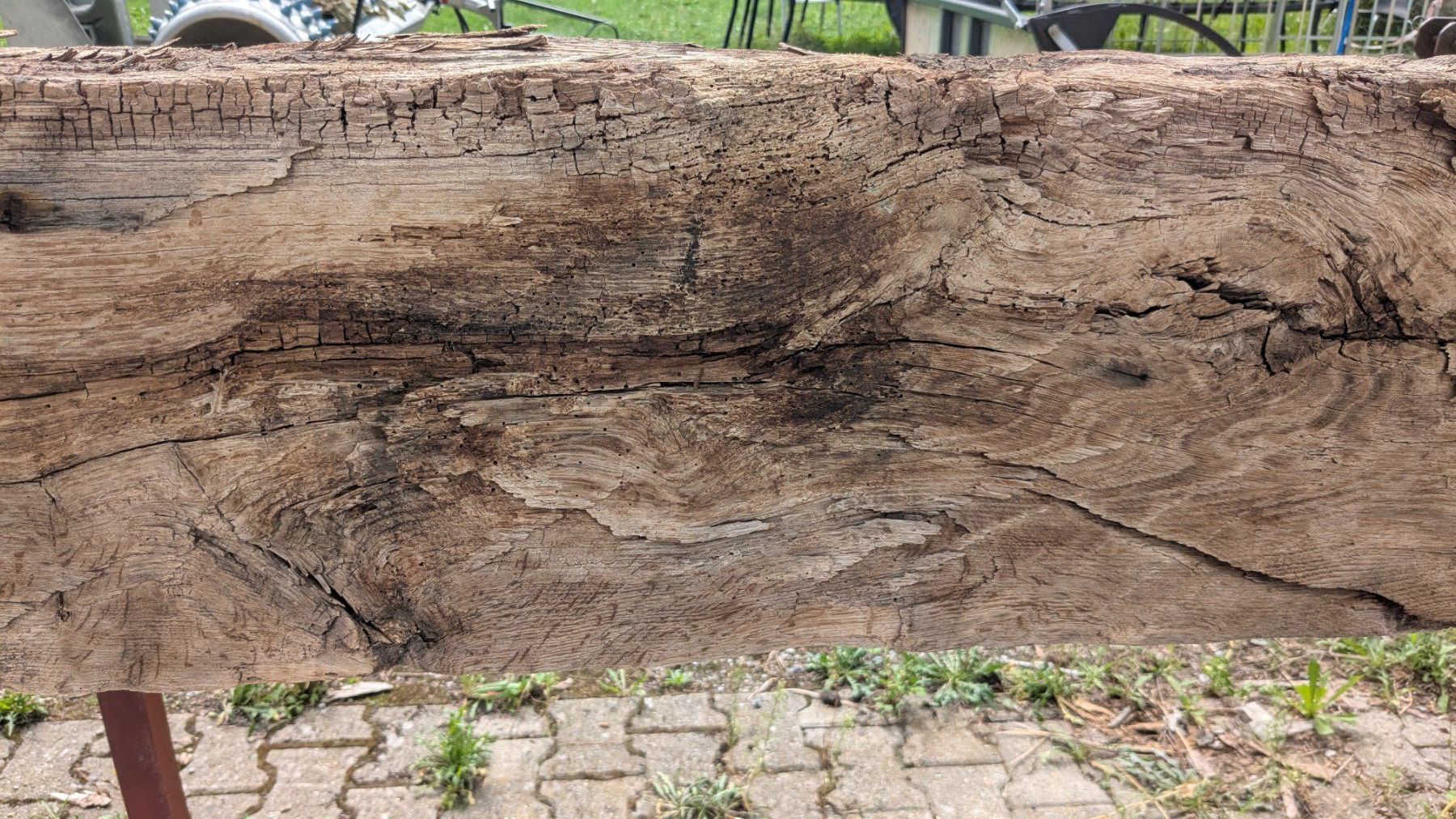 Articoli in legno: Altholzbalken Eiche ca. 200jährig – Usato da Uster venduto da pfister015 6
